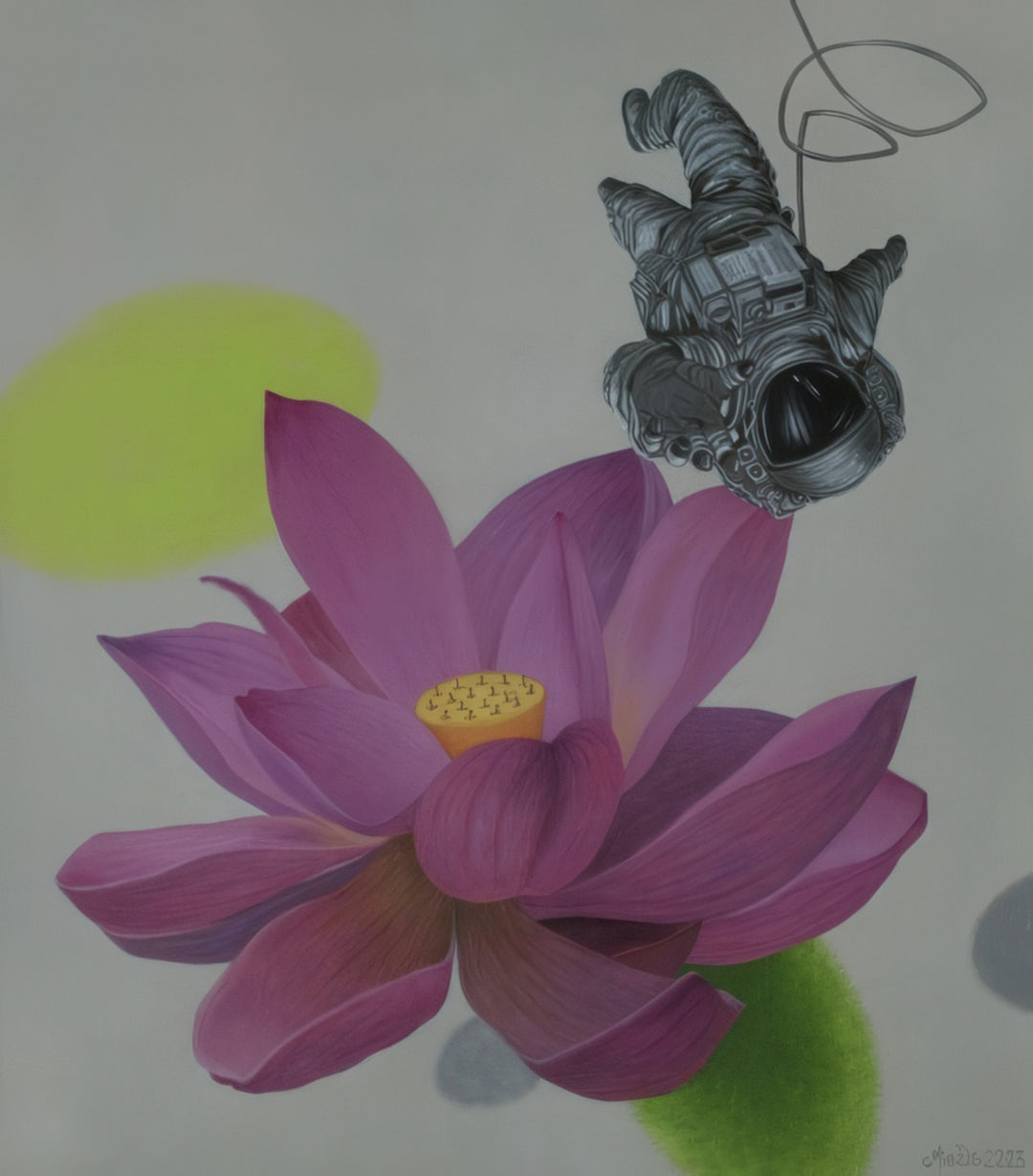 Colorful drawing of a pink lotus flower with a black and white abstract figure above it on a light gray background.