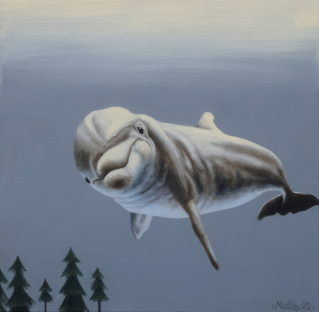 Surreal acrylic painting Superficial by artist Andrius Miezis, featuring a beluga whale drifting above stylized pine trees in soft blue-gray tones. Contemporary European surrealism, available as fine art giclée print from Giclée Makers.