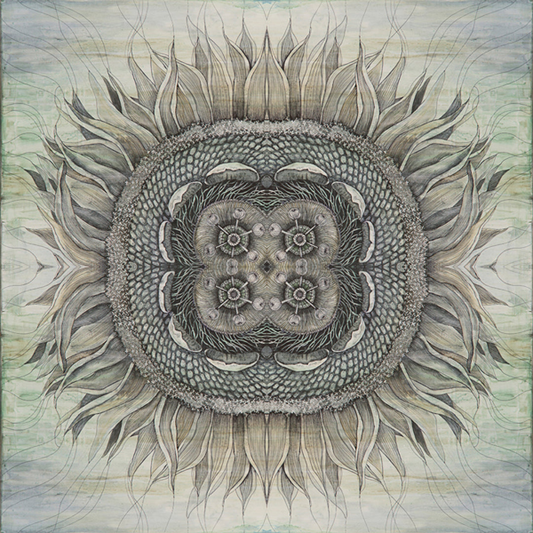 Artistic depiction of a sunflower with detailed center and petals on a textured background