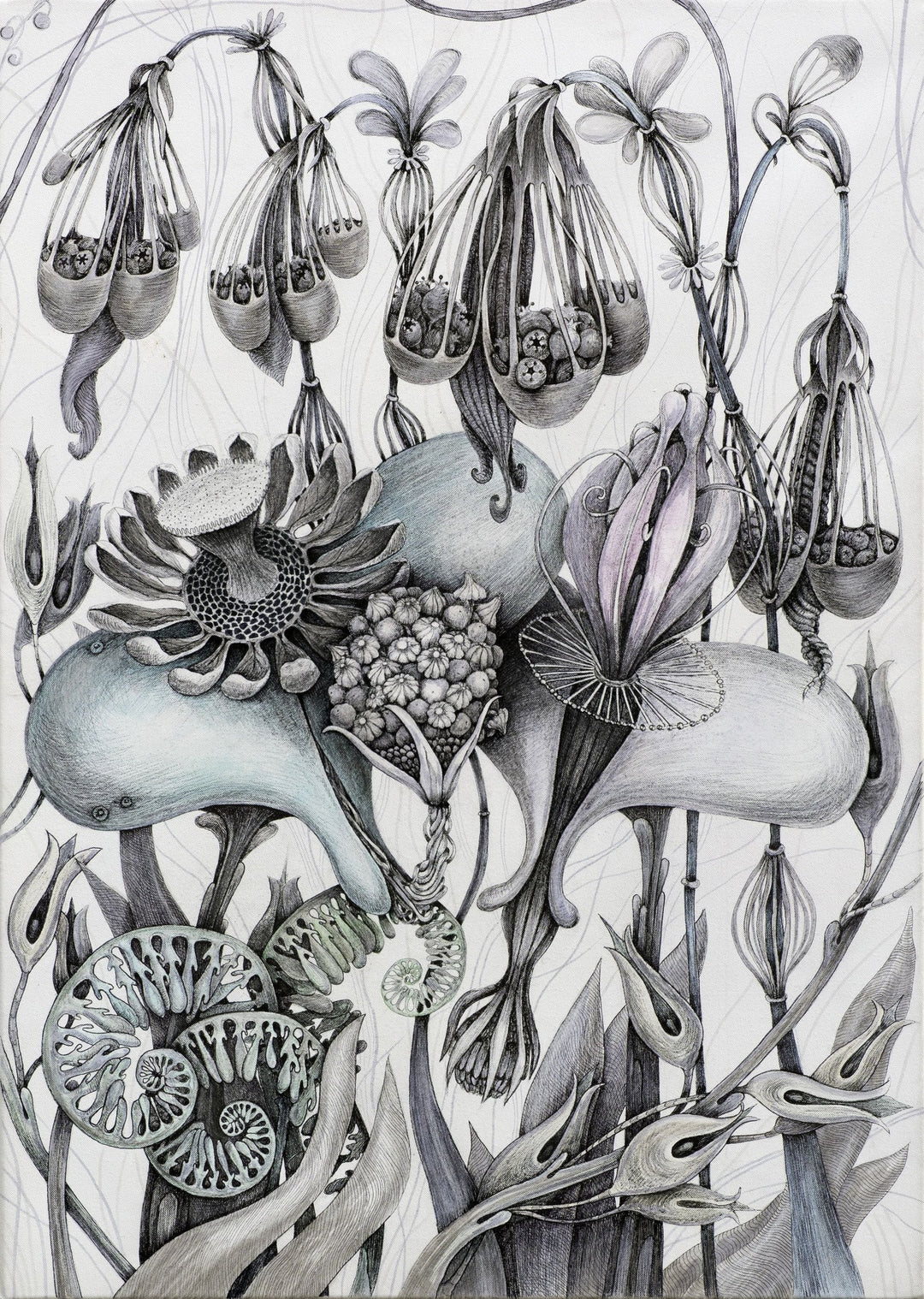 Detailed black and white illustration of various plant and flower forms.