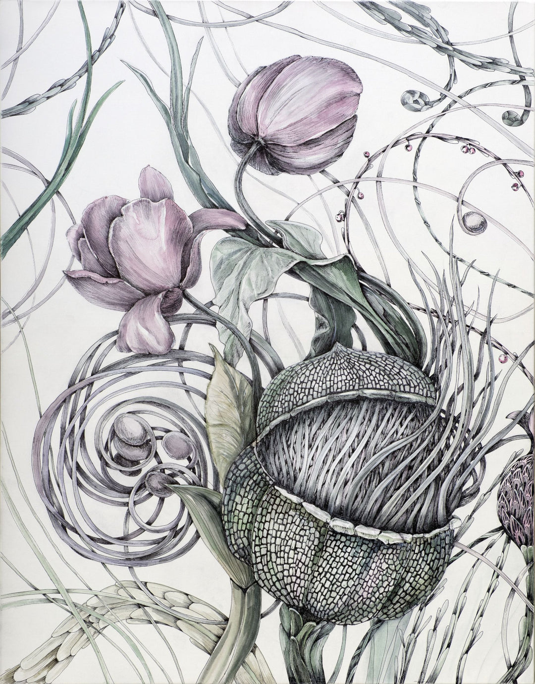 Artistic illustration of tulip flowers and acorns on a light background