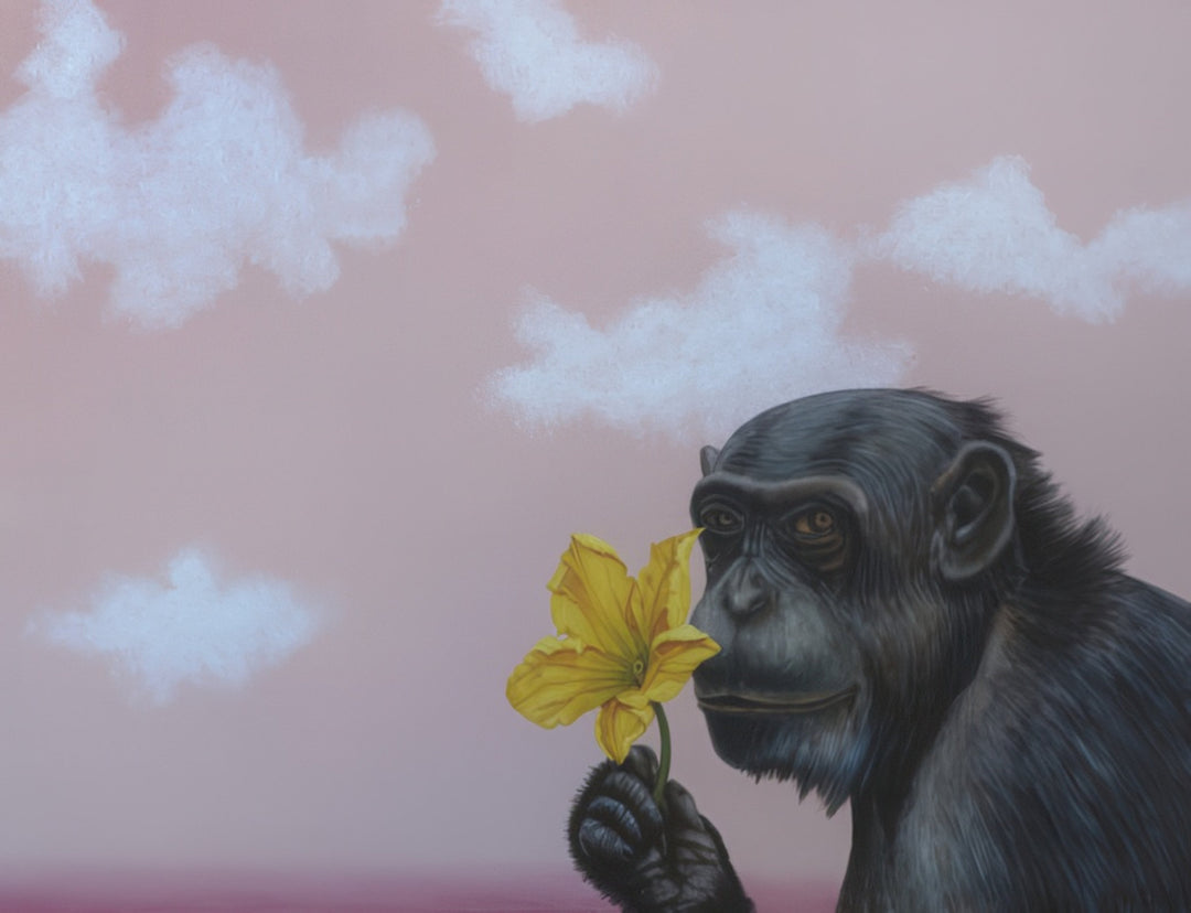 Surreal portrait of a chimpanzee holding a bright yellow flower against a pastel pink sky with soft clouds. Artwork titled You Are Not Like Everyone by Andrius Miezis. Museum-quality giclée print from Giclée Makers Gallery.